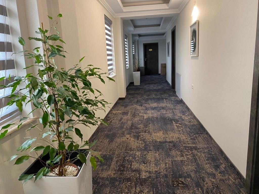 Hotel Yarus Plus Ploieşti Eksteriør bilde